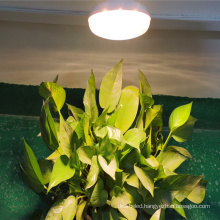 15W LED plant Grow Light vegatable growing LED light